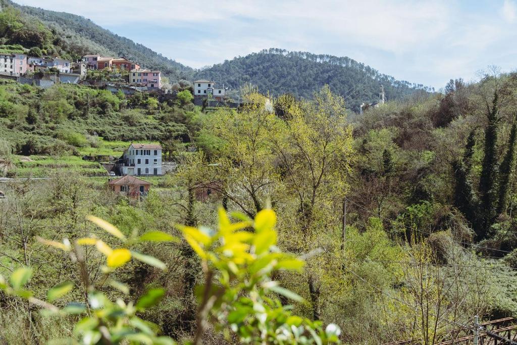 Апартаменти Residenza Nemus Mare E Montagna Graveglia Екстер'єр фото